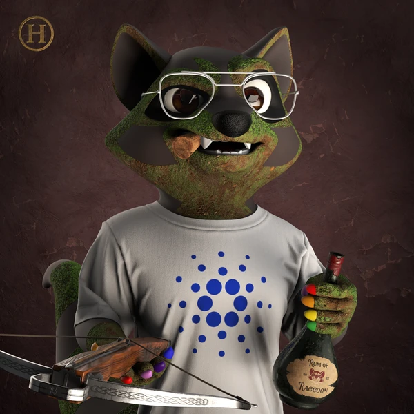 Raccoon #1078