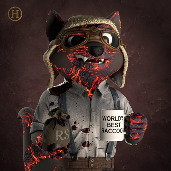 Raccoon #1168