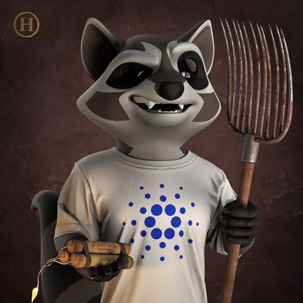 Raccoon #1360