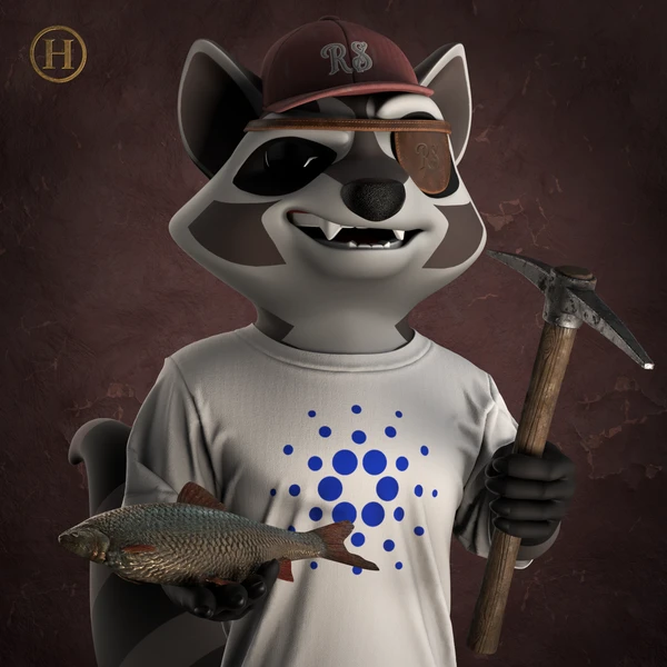 Raccoon #1406