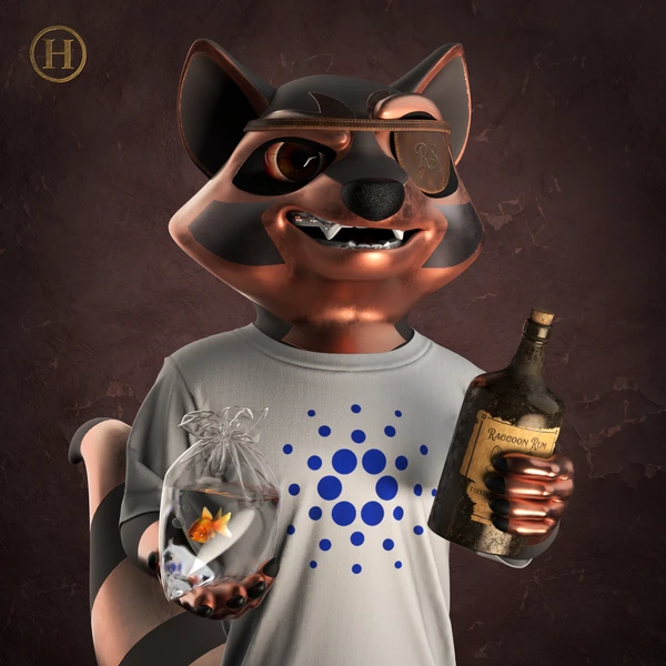 Raccoon #1416