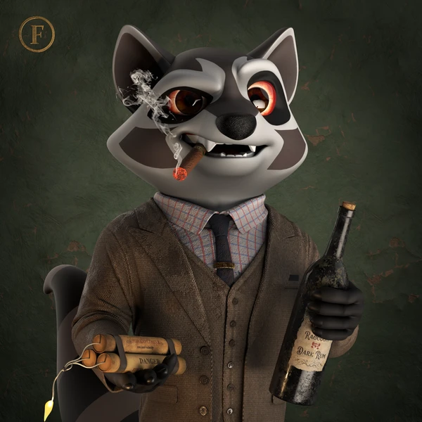 Raccoon #1538