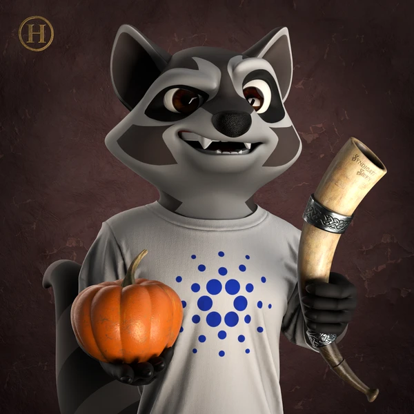 Raccoon #162