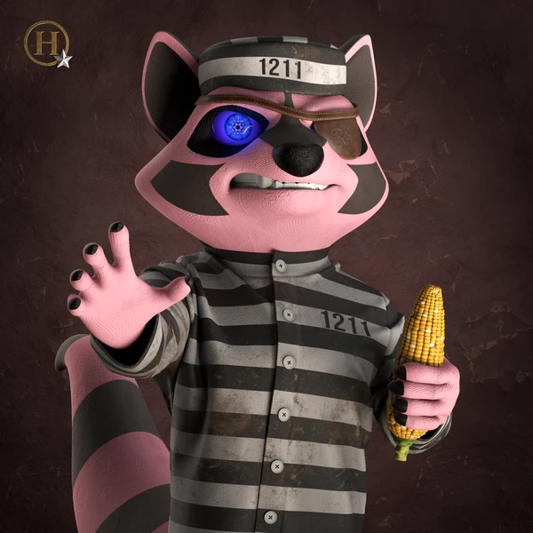 Raccoon #1651
