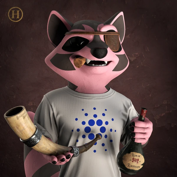 Raccoon #1752