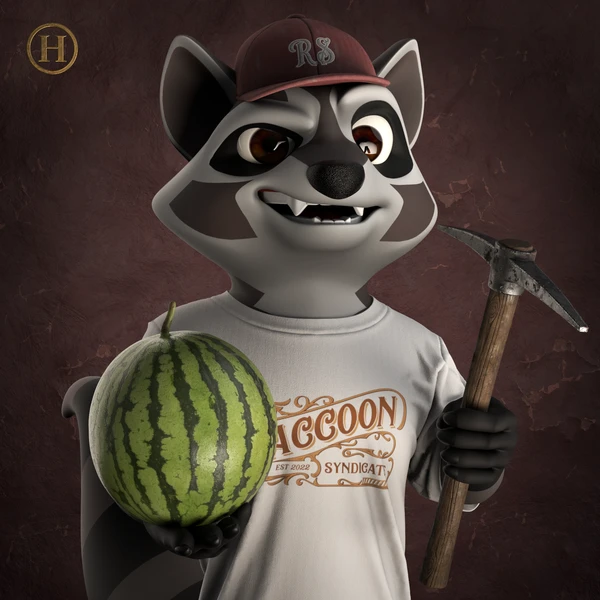 Raccoon #2621