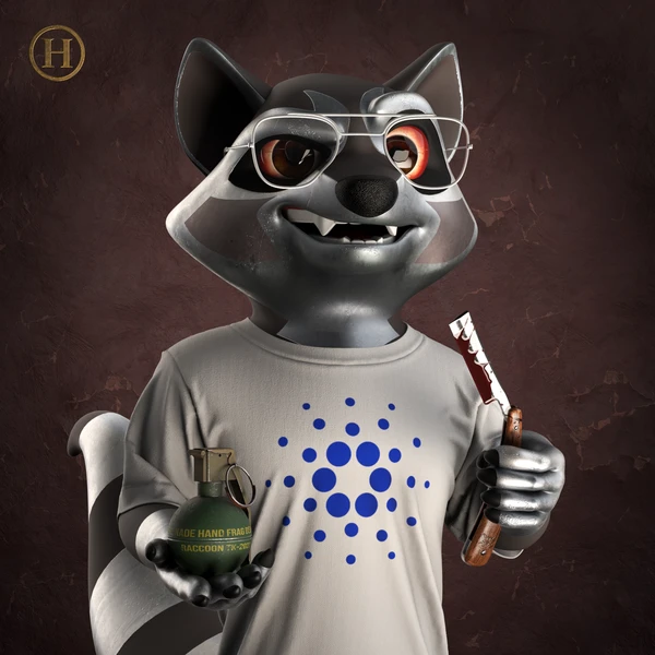 Raccoon #2782