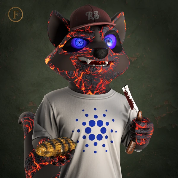 Raccoon #2824