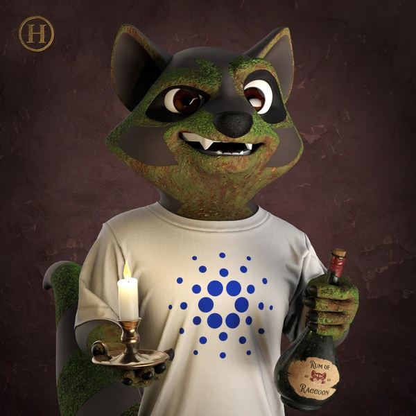 Raccoon #2981