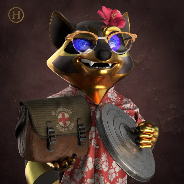Raccoon #2994