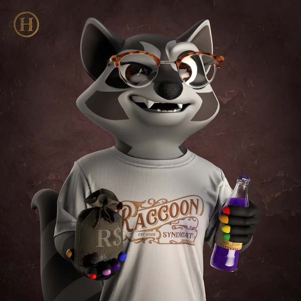 Raccoon #3355