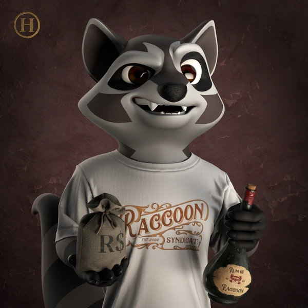 Raccoon #3482
