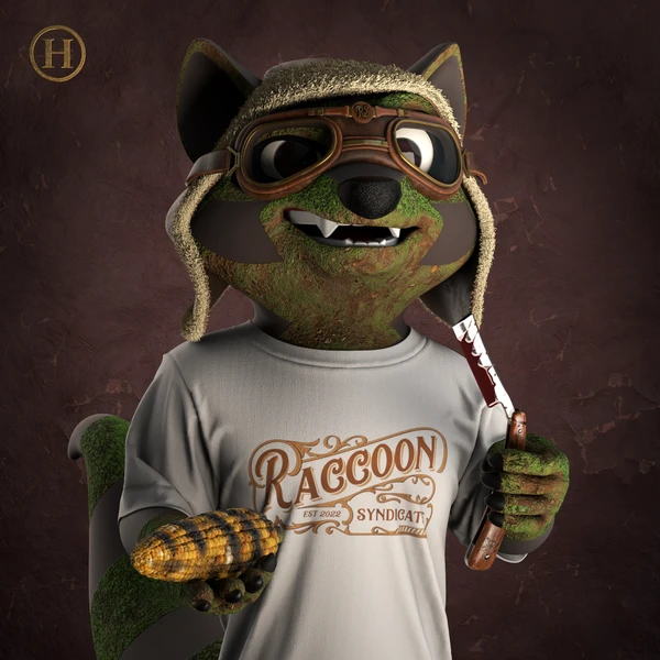 Raccoon #3537