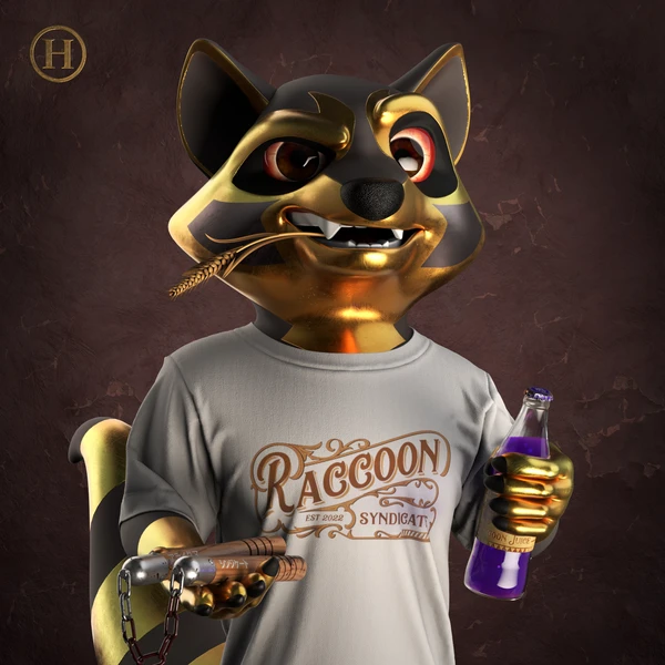 Raccoon #3600