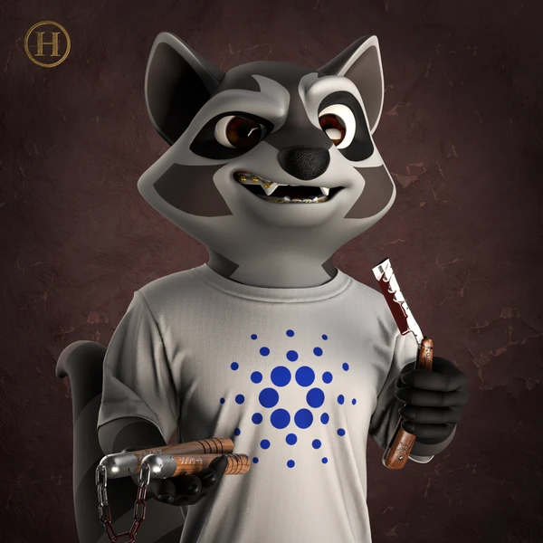 Raccoon #3607