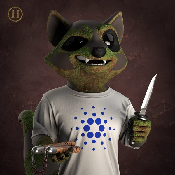 Raccoon #366
