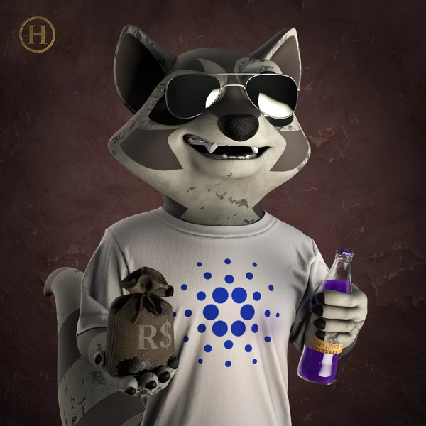 Raccoon #3785