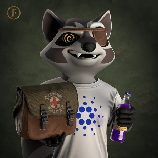 Raccoon #3805
