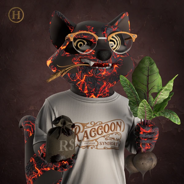 Raccoon #3899