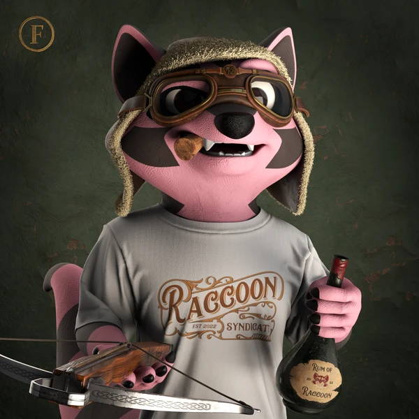Raccoon #3917