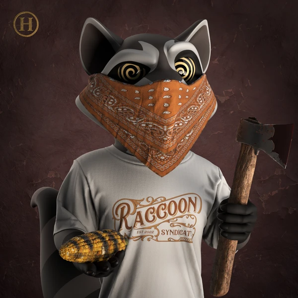 Raccoon #429