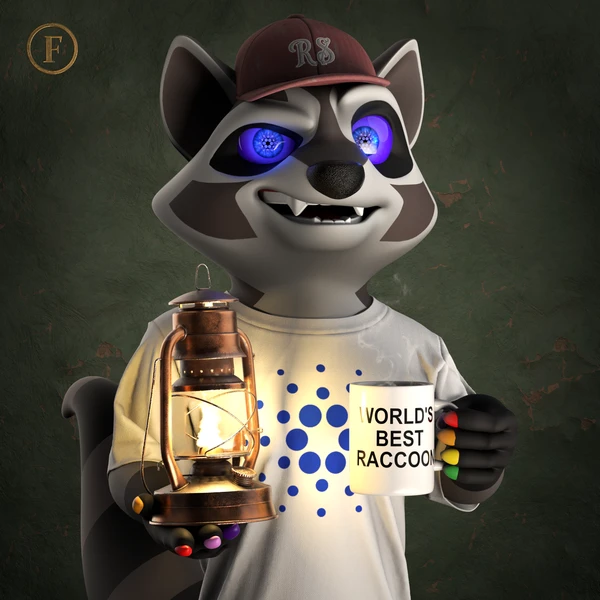 Raccoon #467