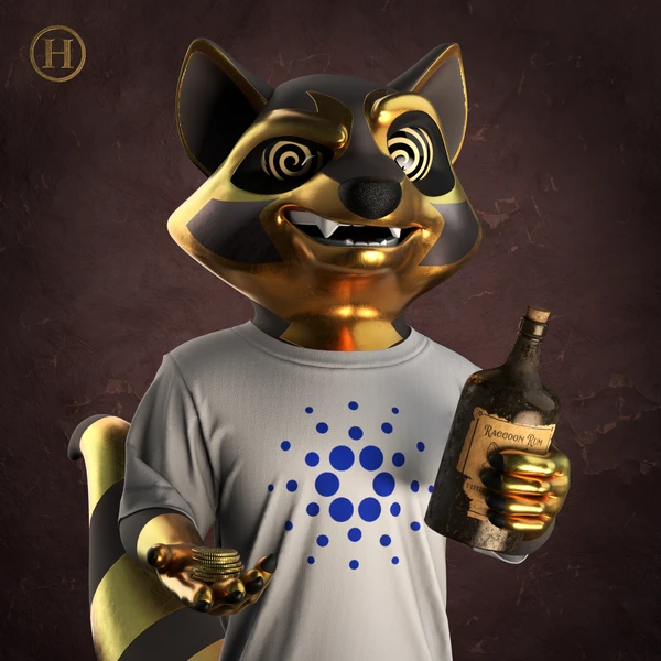 Raccoon #4682