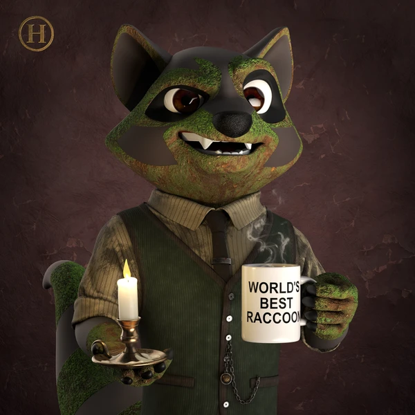 Raccoon #47