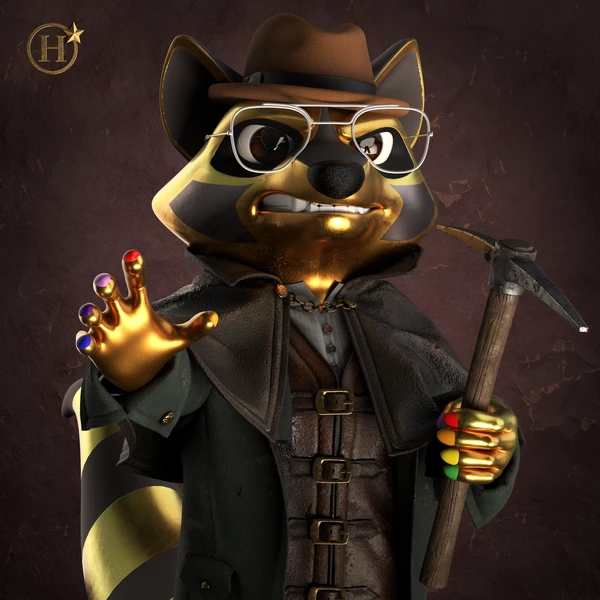 Raccoon #478