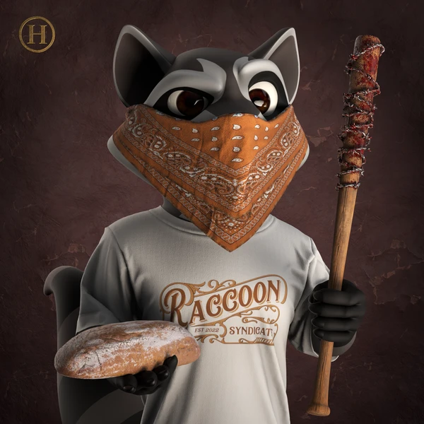 Raccoon #4801