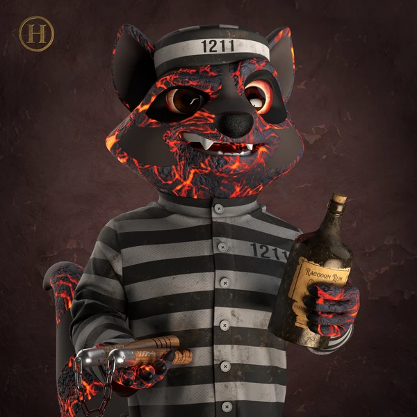 Raccoon #51