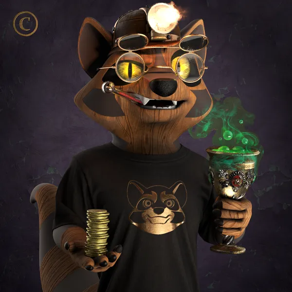 Raccoon #5193