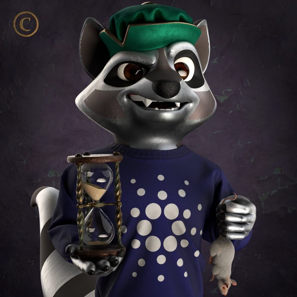 Raccoon #5284