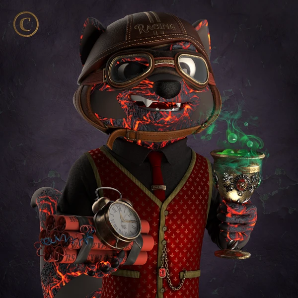 Raccoon #5593