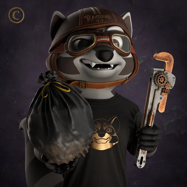 Raccoon #5690