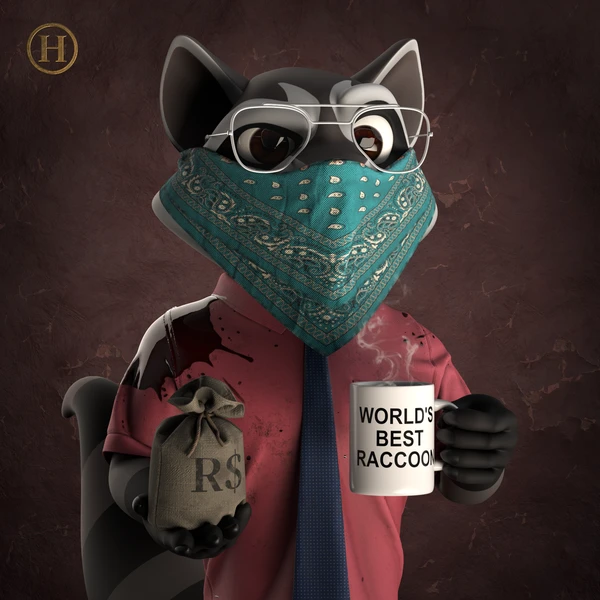 Raccoon #581
