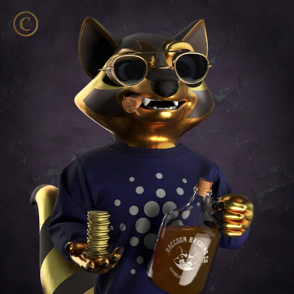 Raccoon #5870