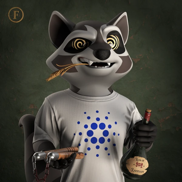 Raccoon #599