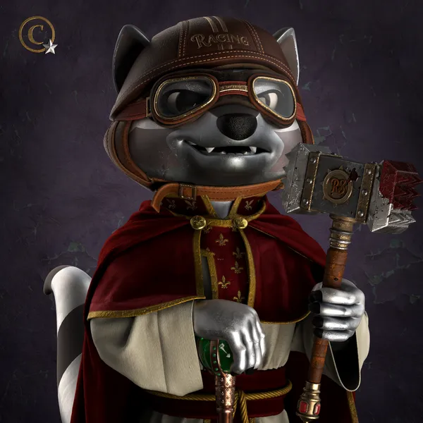 Raccoon #6155