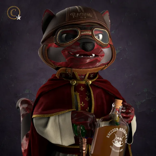 Raccoon #6200