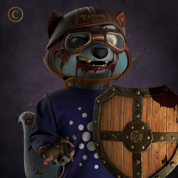 Raccoon #6245