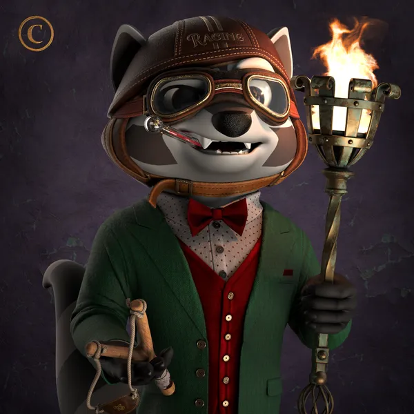 Raccoon #6917