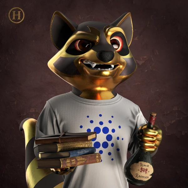 Raccoon #738