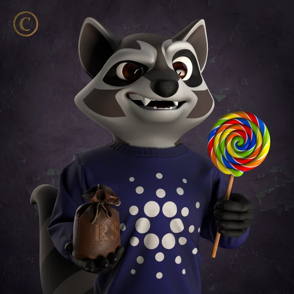 Raccoon #7994