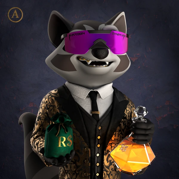 Raccoon #8341