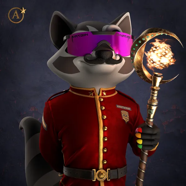 Raccoon #8629