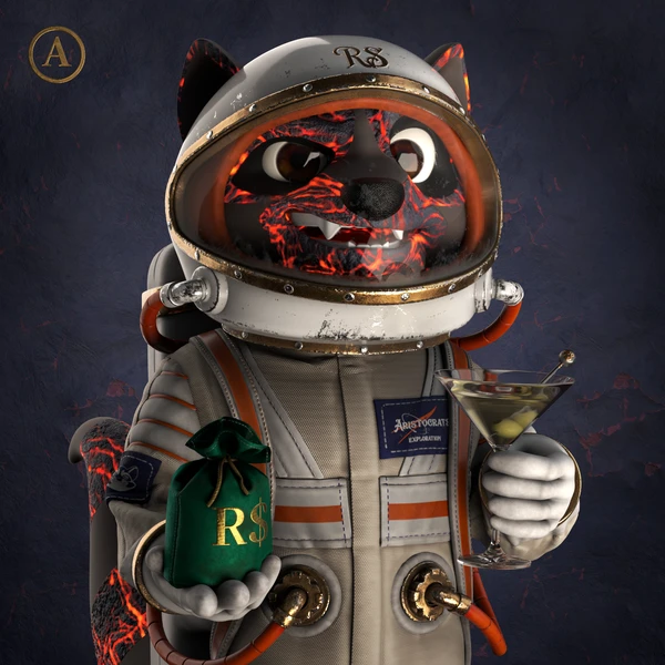 Raccoon #9124