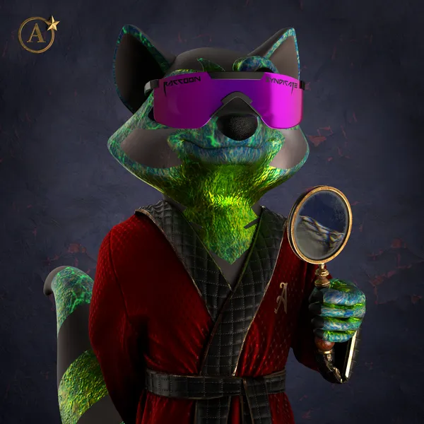 Raccoon #9152