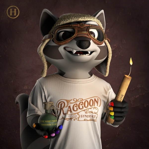 Raccoon #94