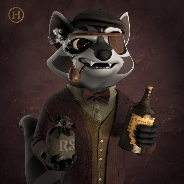 Raccoon #988